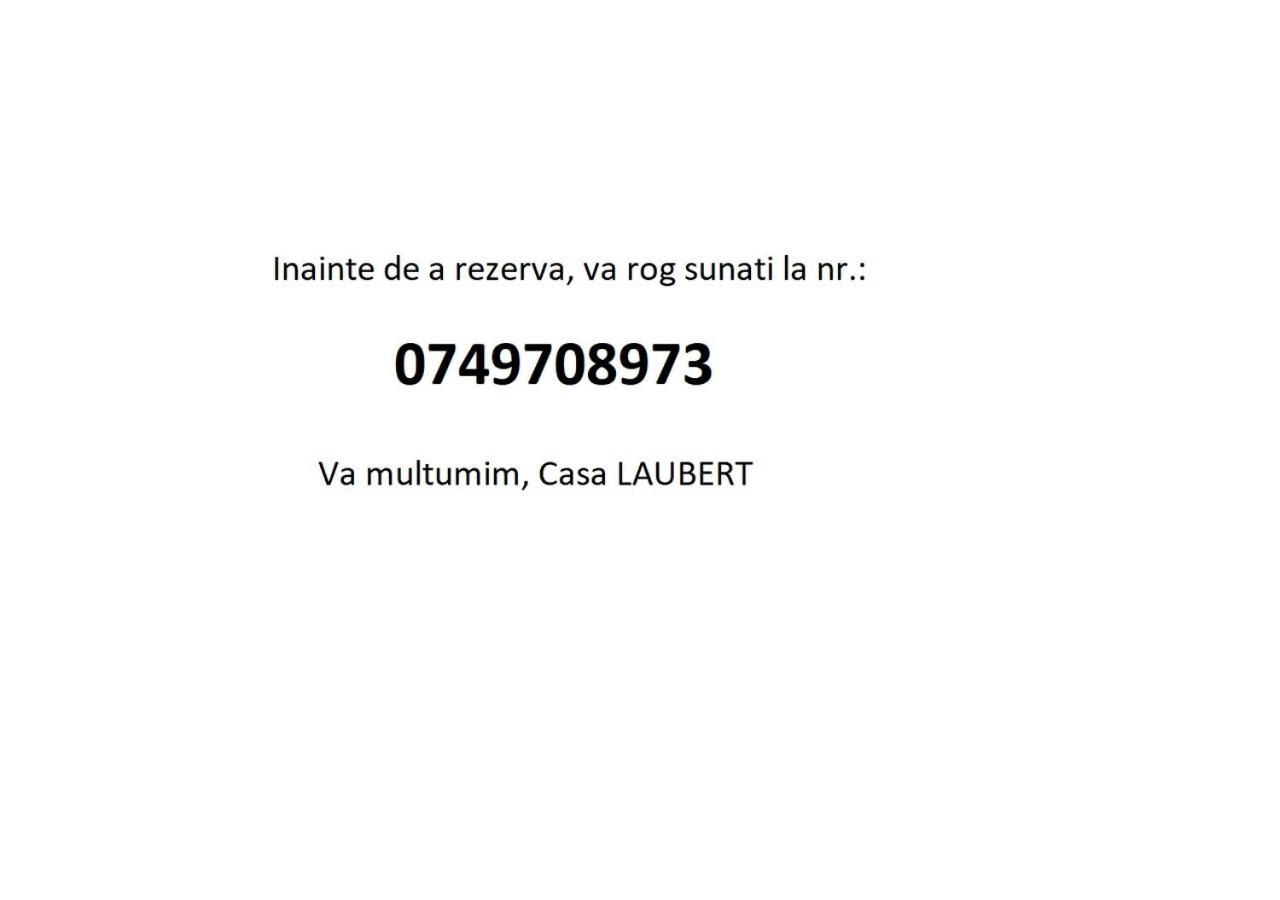 Гостевой дом Laubert Кэлимэнешти-5